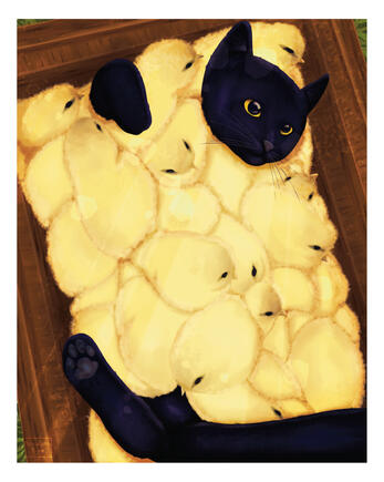 cats in ducks